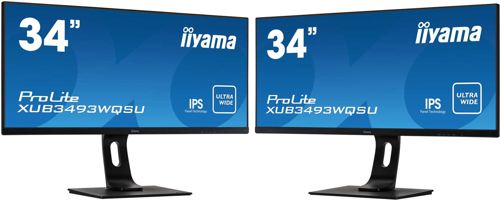 Iiyama prolite e1706s specification