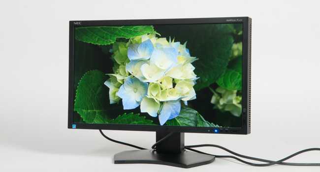 Монитор nec multisync p232w black отзывы и инструкция — техмир