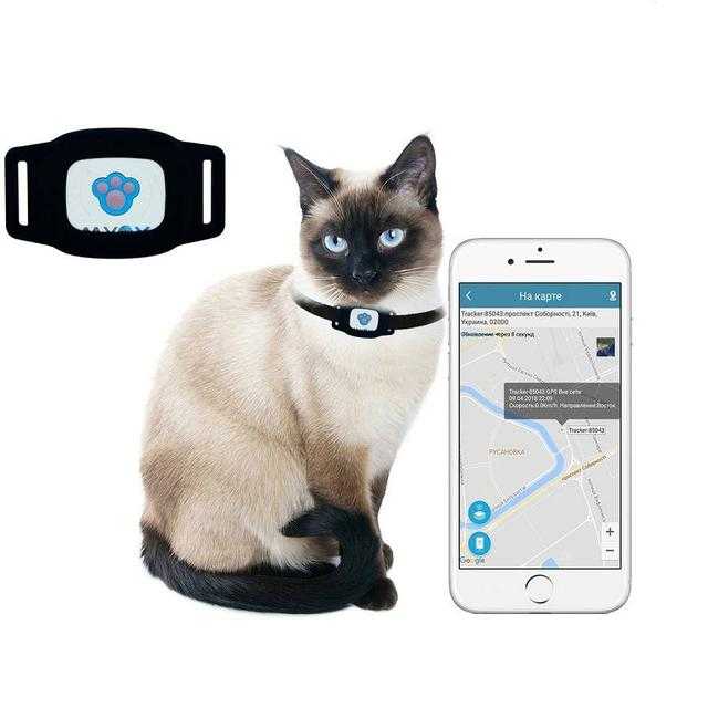 Лучшие gps-маяки для автомобиля в 2022 году