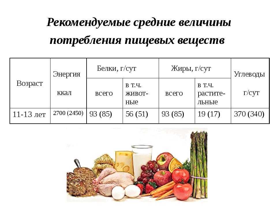 Измельчитель бытовых отходов для кухни: принцип работы, плюсы и минусы, рекомендации по выбору