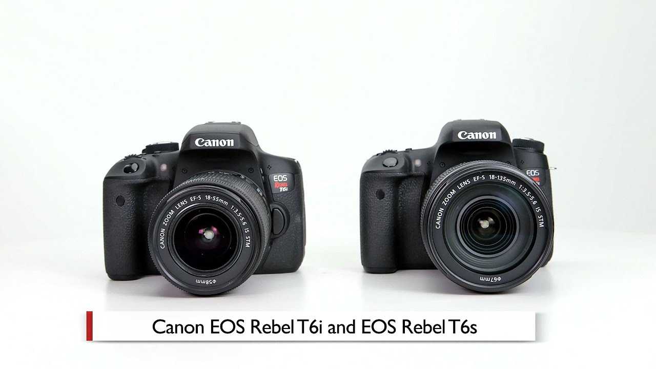 Canon для новичков: 9 лучших камер для начинающих фотографов