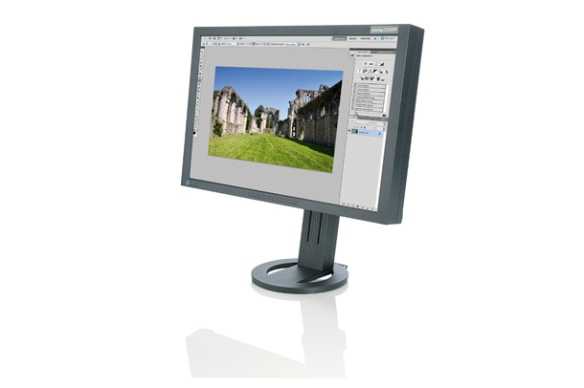 Монитор nec multisync e201w white отзывы и инструкция — техмир