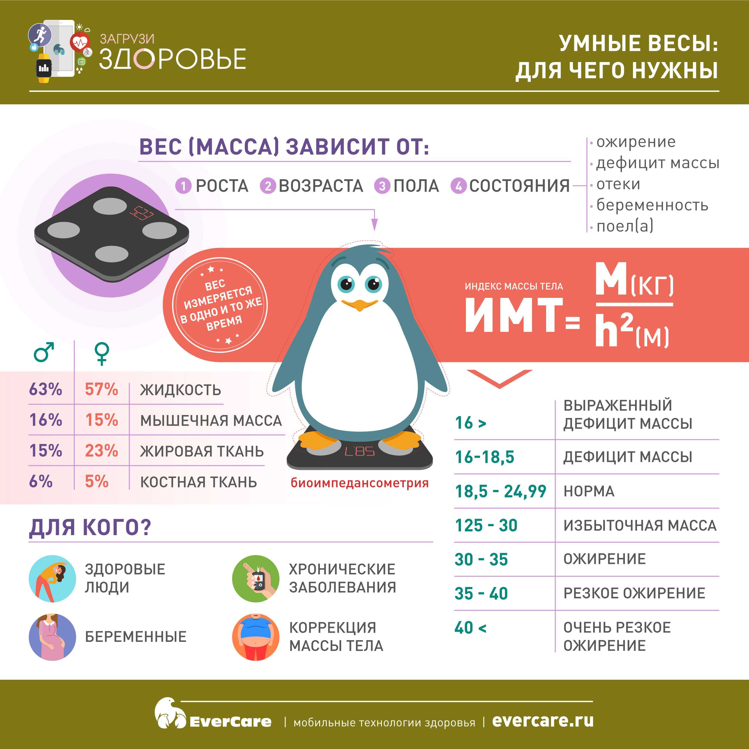 Худеем? следите за своим весом правильно! полезные советы и хорошие модели напольных весов! | блог comfy