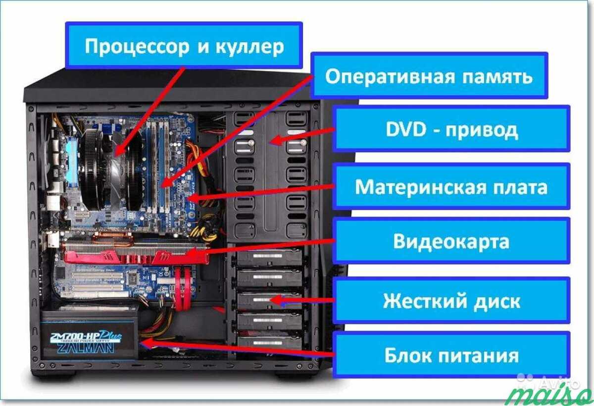 Обзор популярных геймерских мышек для компьютеров: топ-10