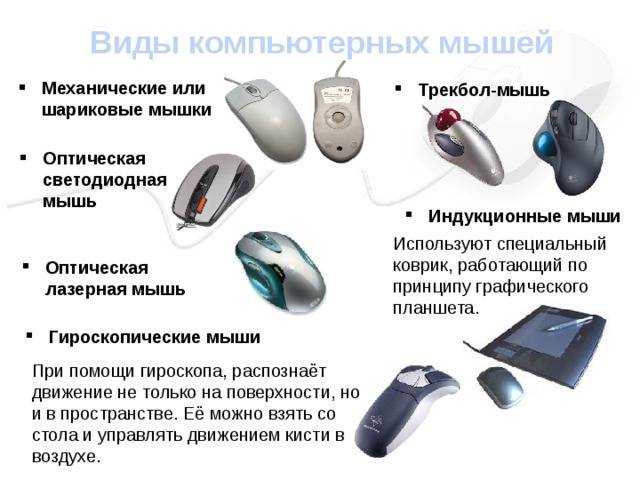 Топ-10 лучшие компьютерные мыши mac и windows 2023 года