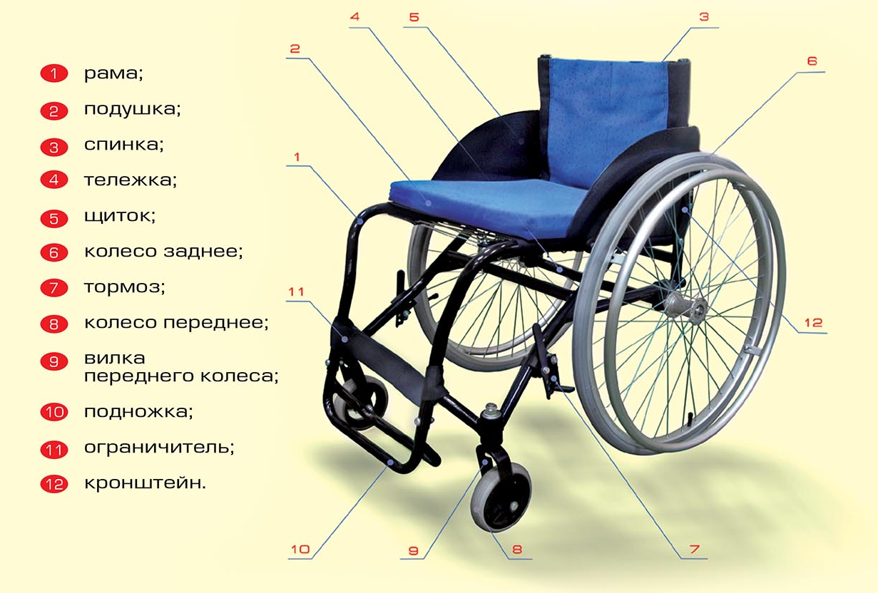 Коляска 2 в 1 для детей: рейтинг лучших 2021 – 2021, отзывы, цены, фото, как выбрать